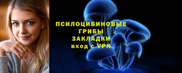 таблы Няндома