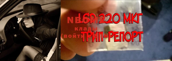 apvp Новозыбков