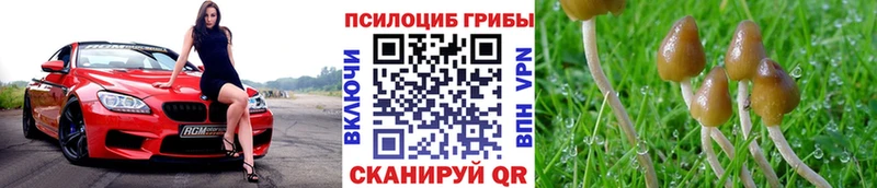 MEGA ТОР  Палласовка  Галлюциногенные грибы GOLDEN TEACHER 